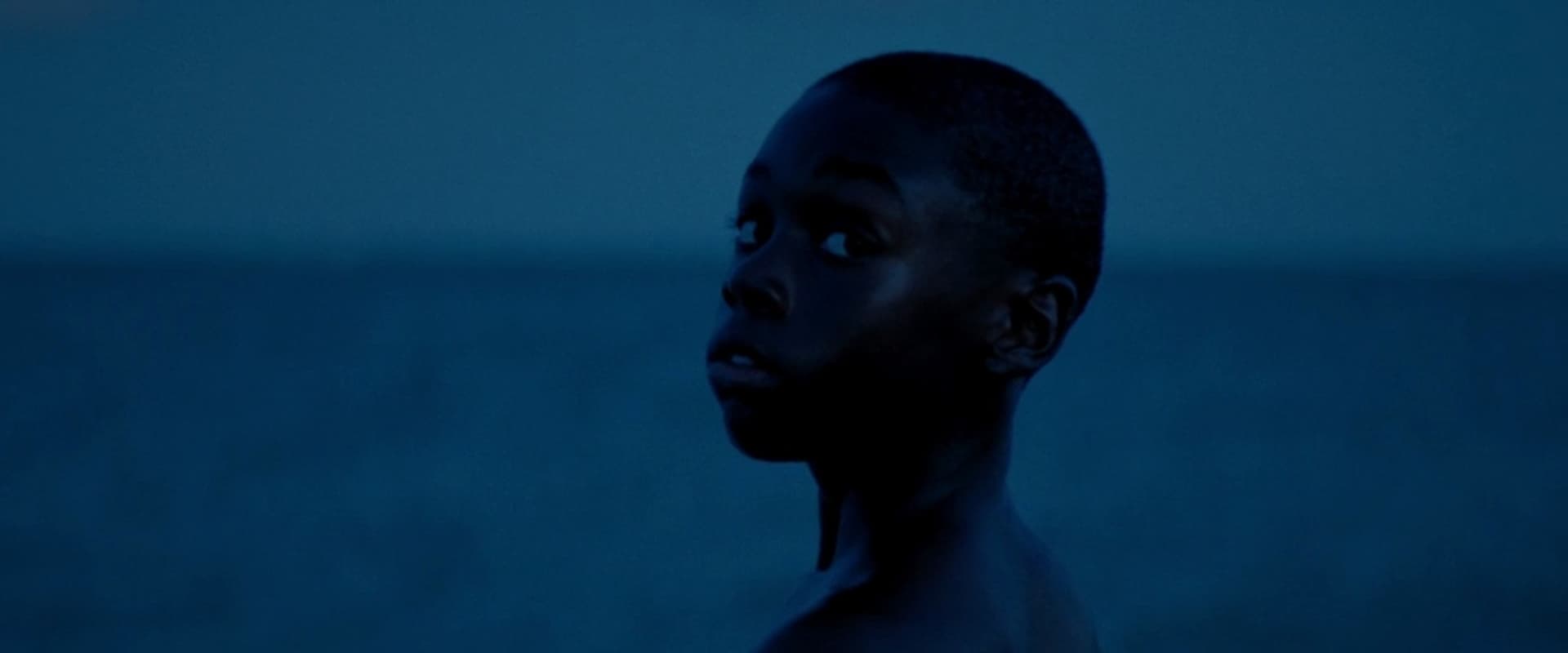 Moonlight 2016