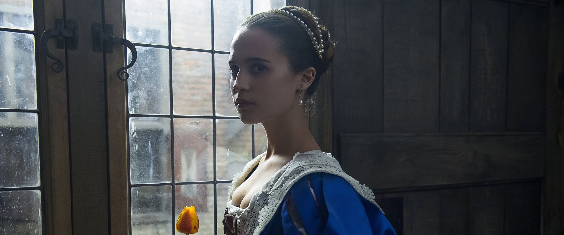 Tulip Fever 2017