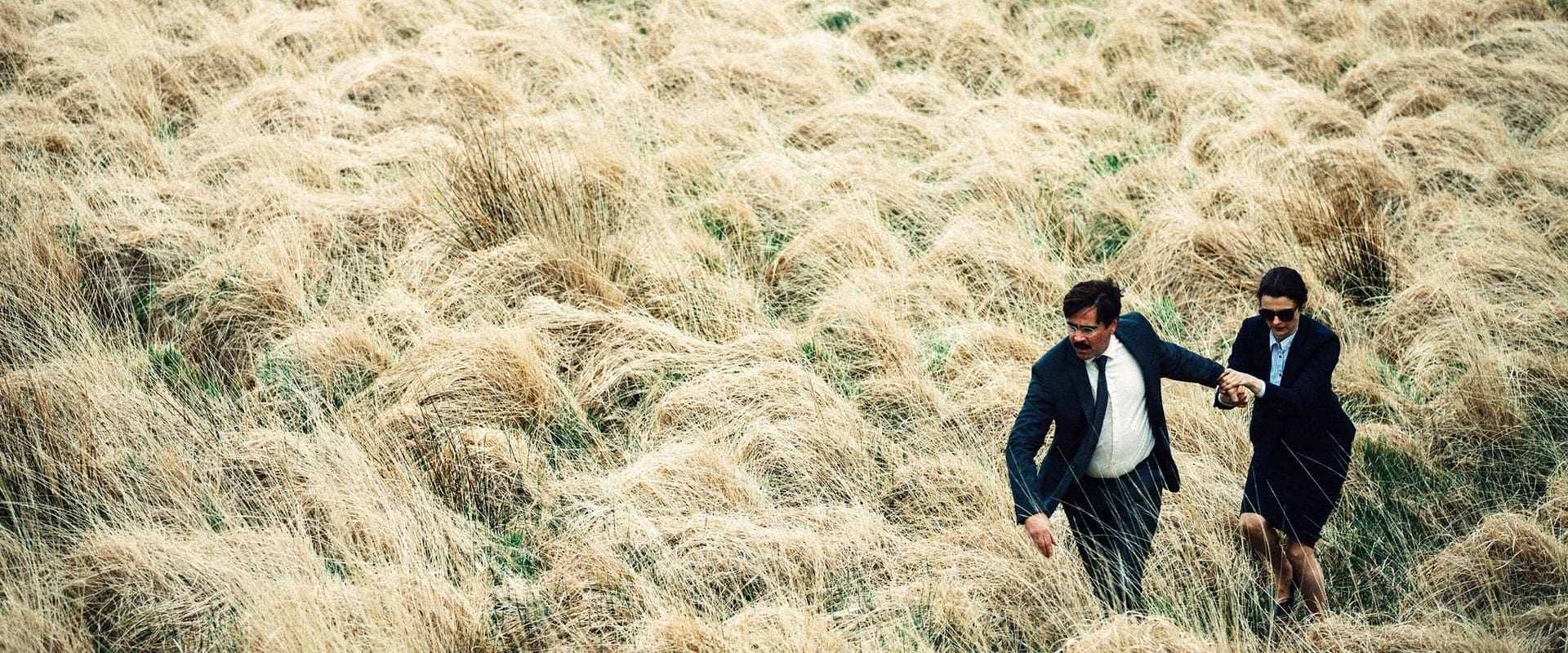 The Lobster 2015