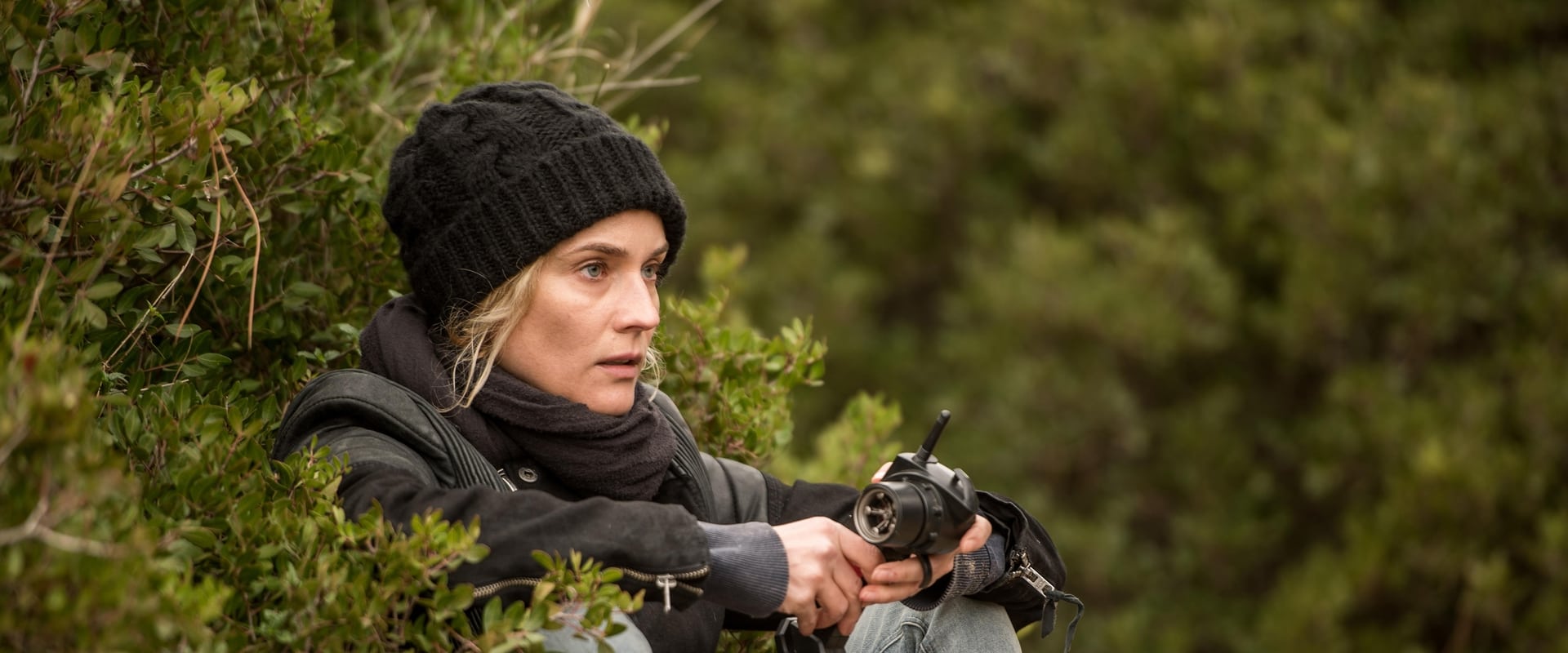 In the Fade 2017