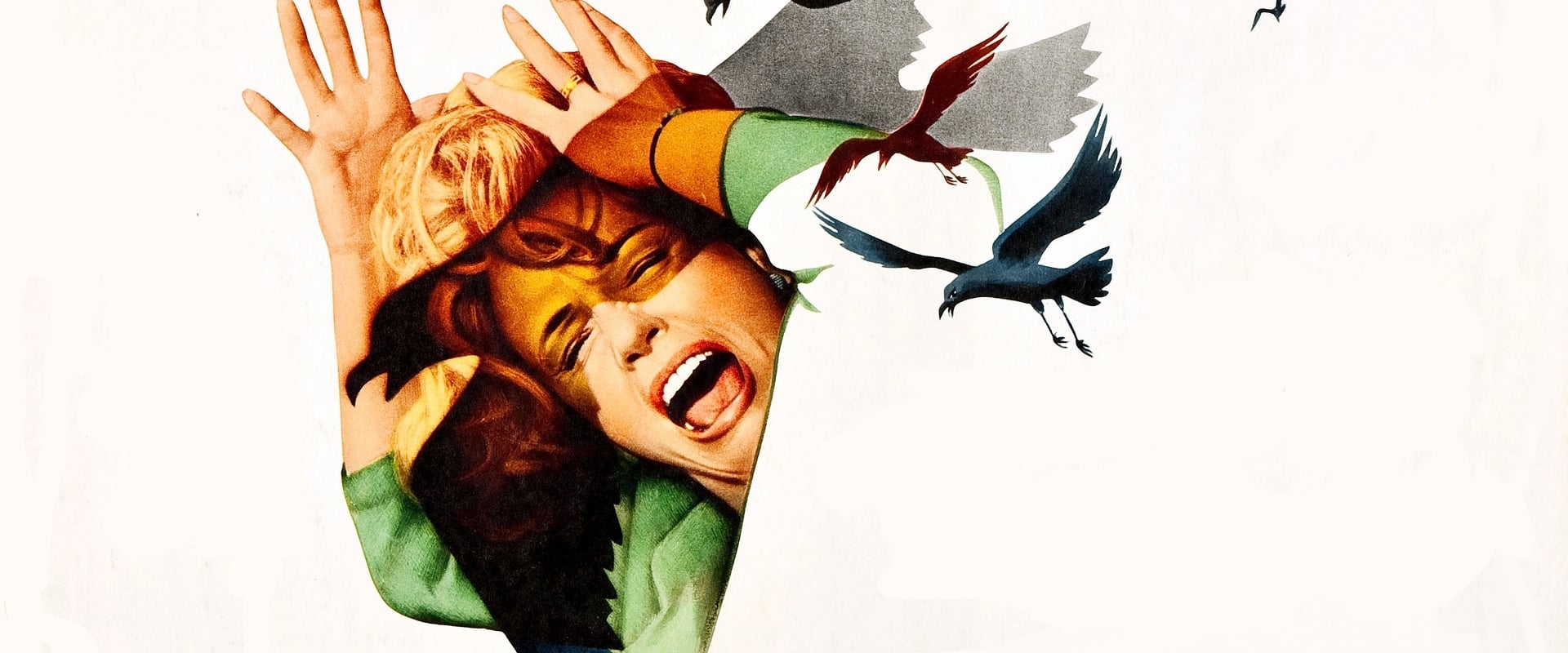 The Birds 1963