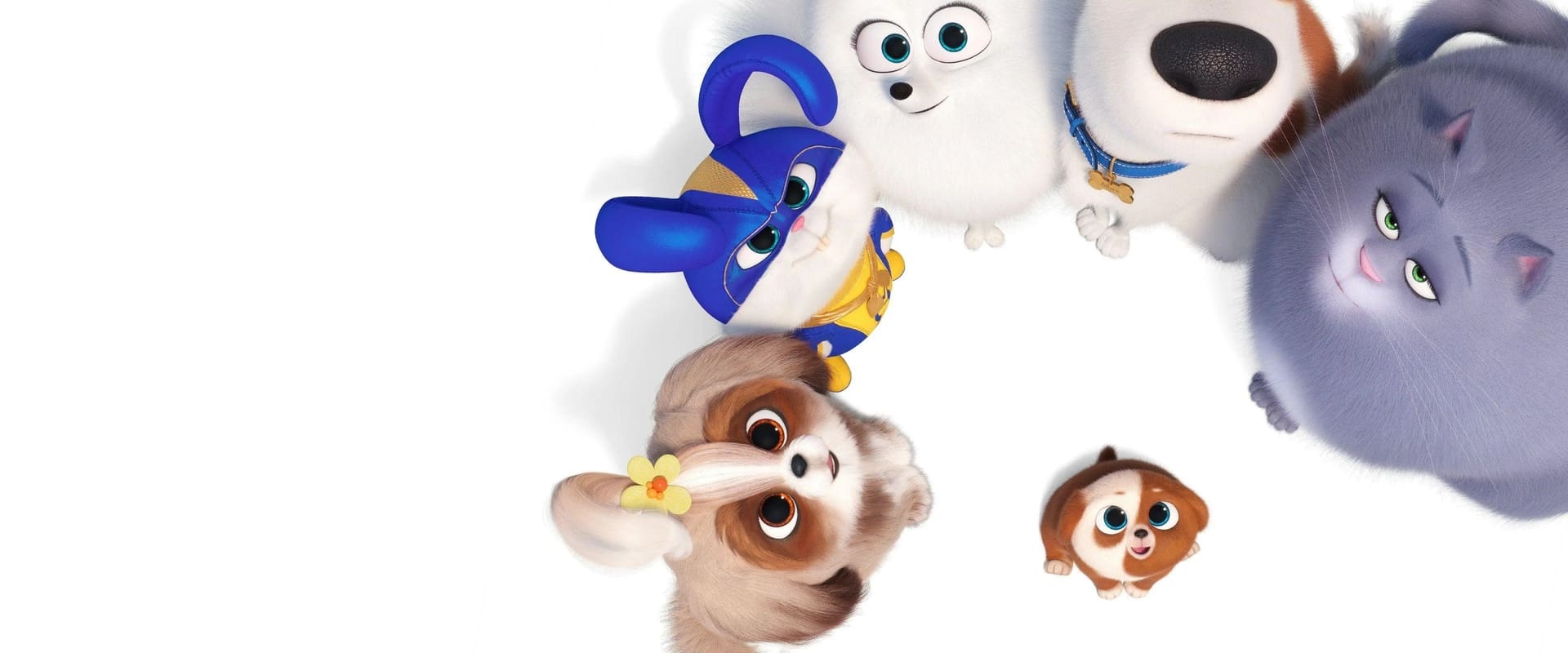 The Secret Life of Pets 2 2019