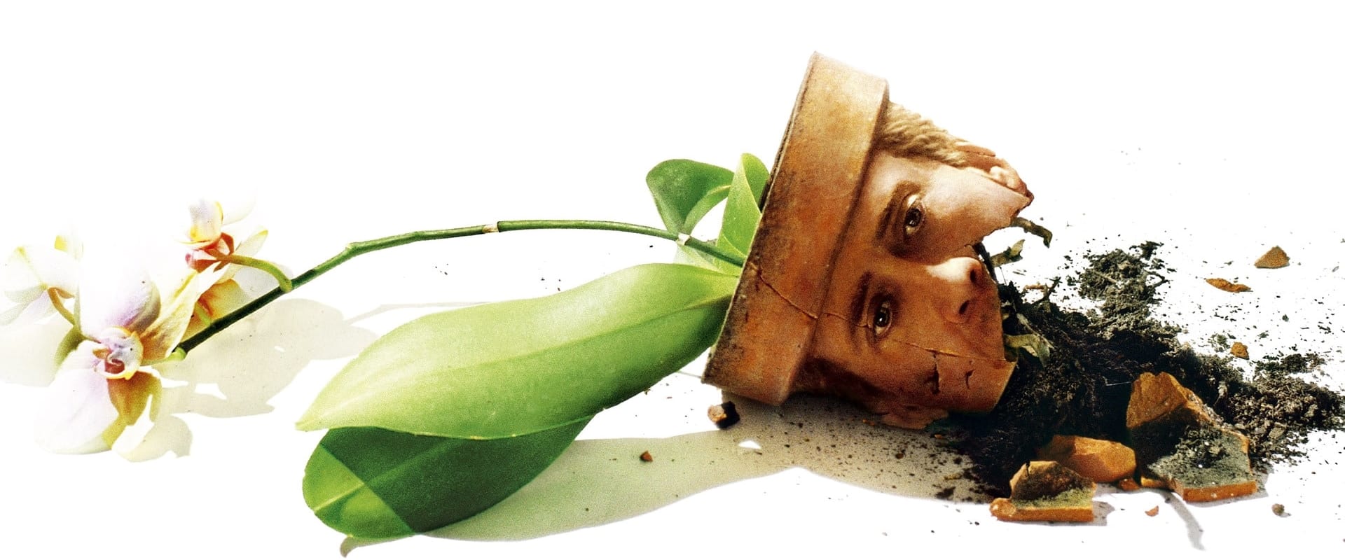 Adaptation. 2002