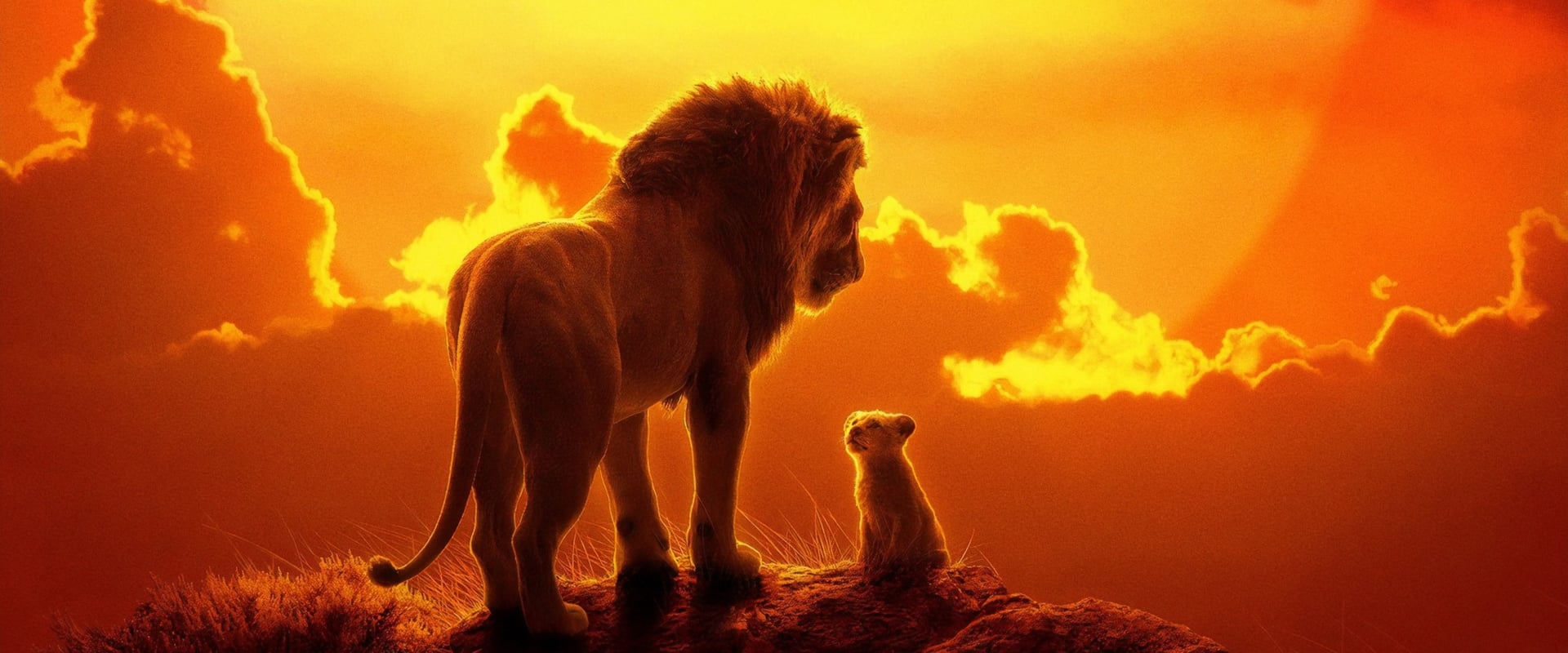 The Lion King 2019