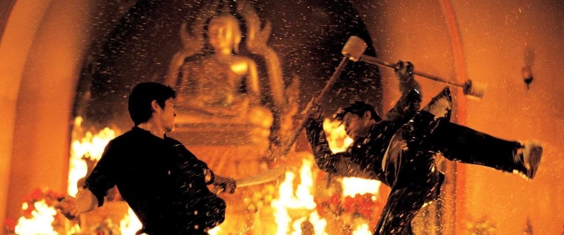 The Protector 2005