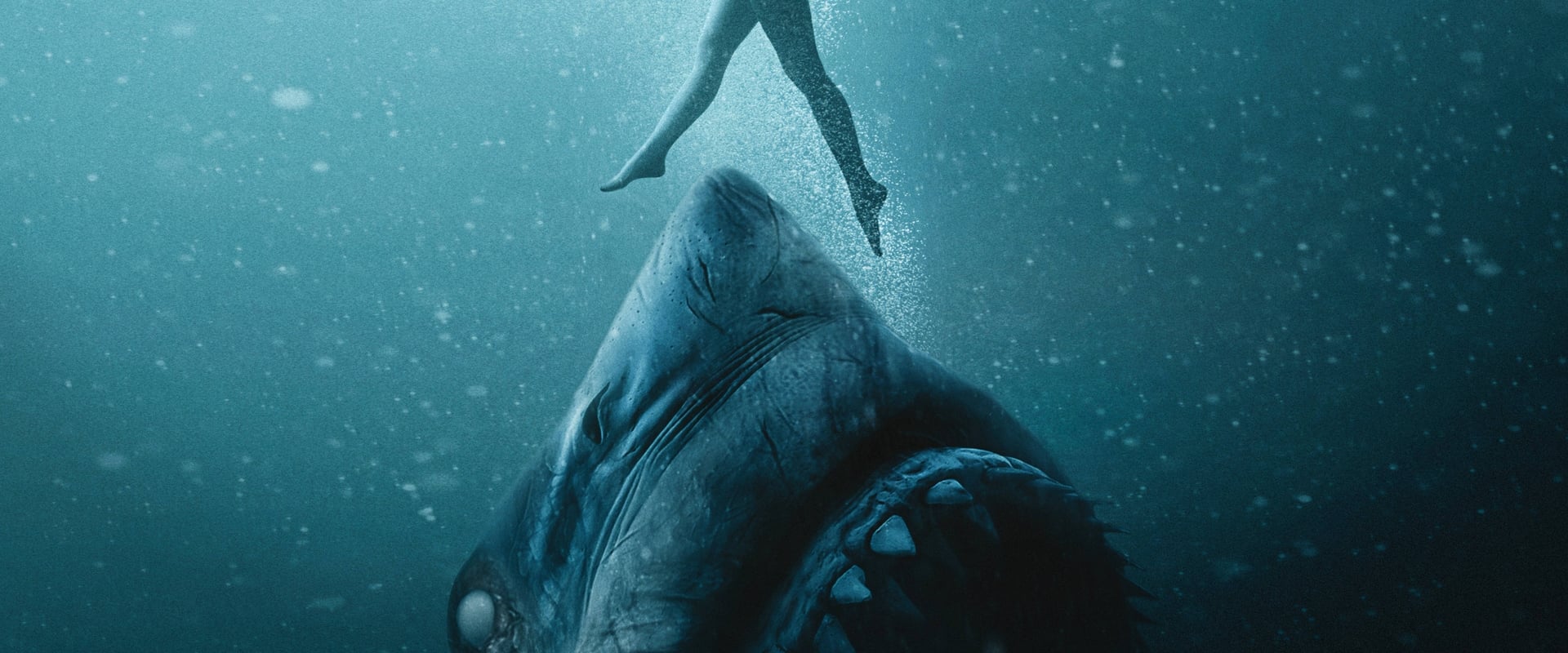 47 Meters Down: Uncaged 2019