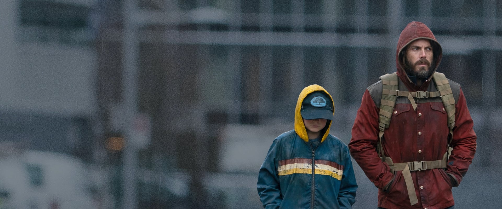 Light of My Life 2019