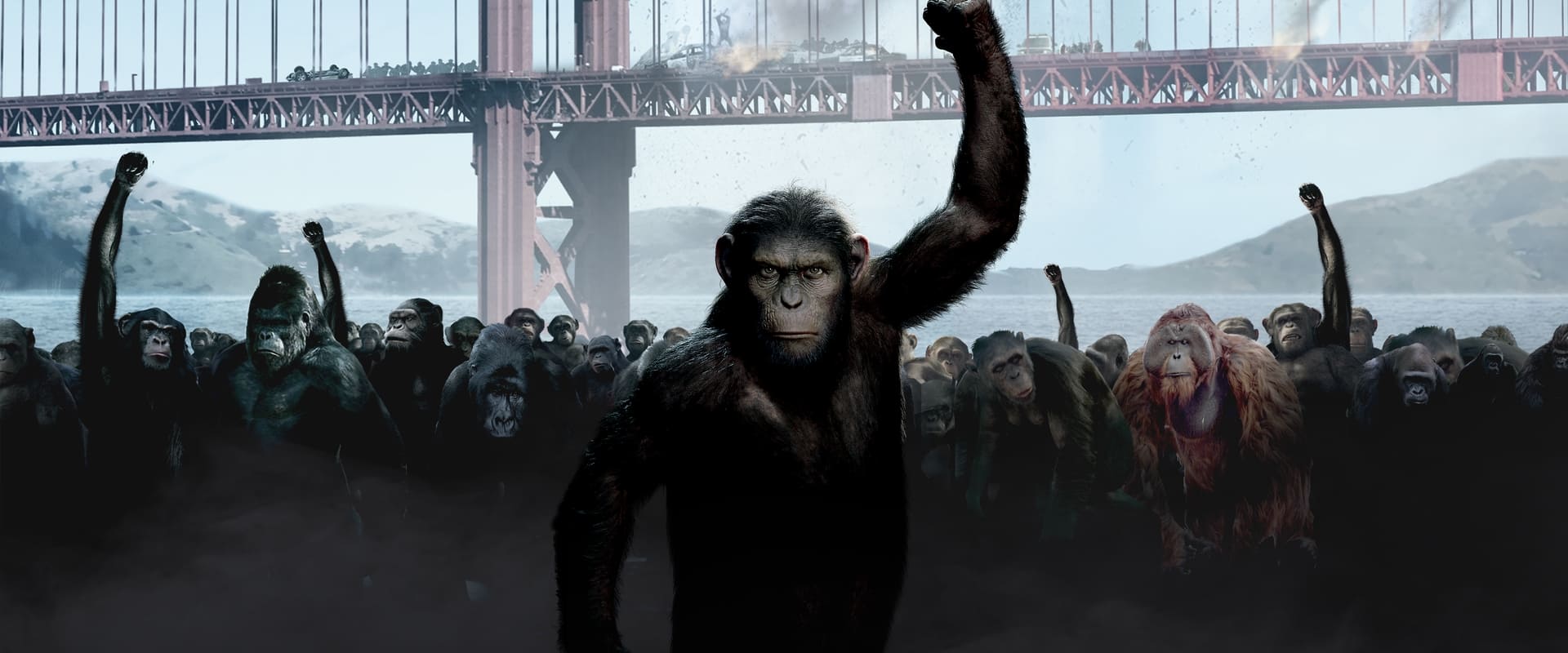 Rise of the Planet of the Apes 2011