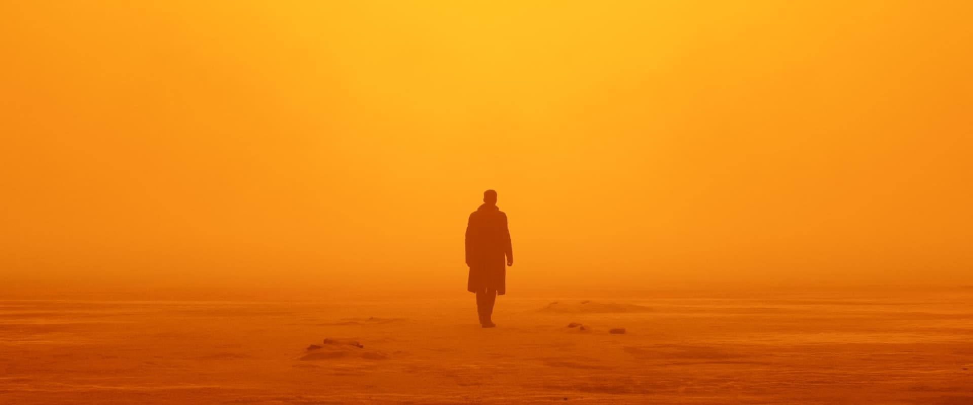 Blade Runner 2049 2017