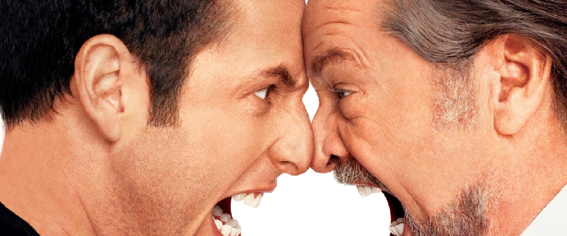 Anger Management 2003