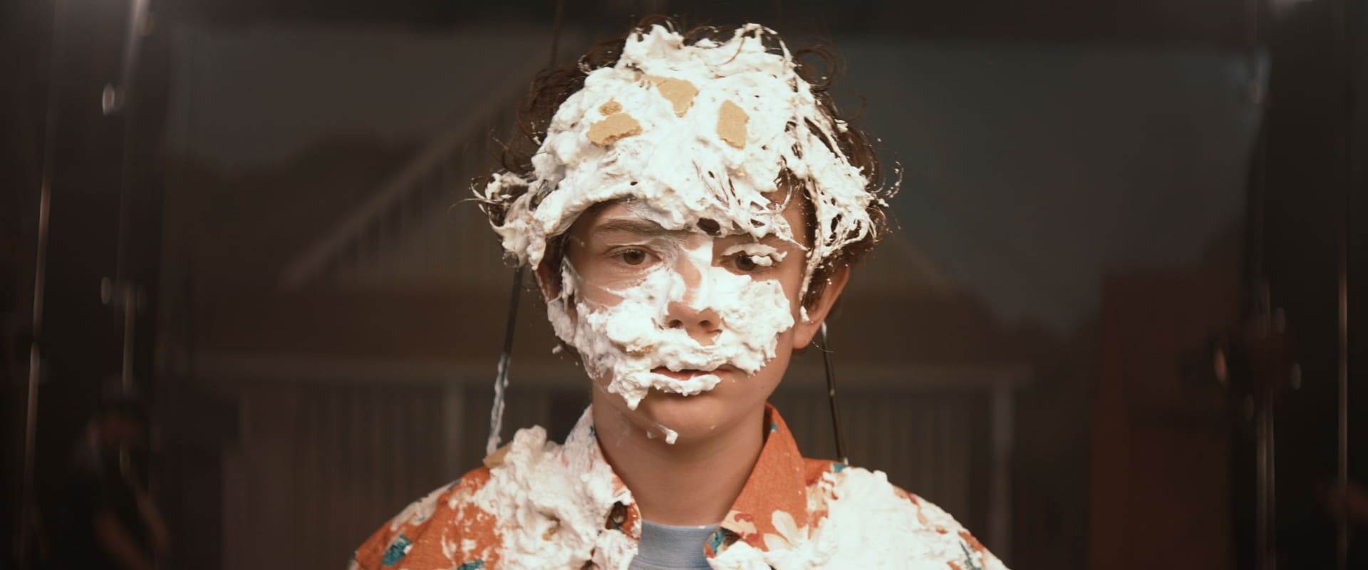 Honey Boy 2019