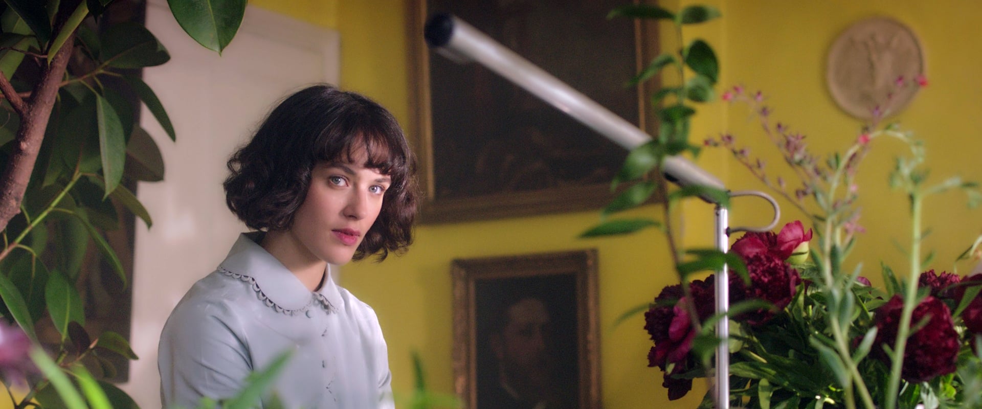 This Beautiful Fantastic 2016
