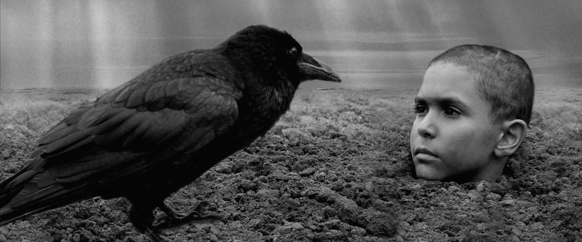 The Painted Bird 2019