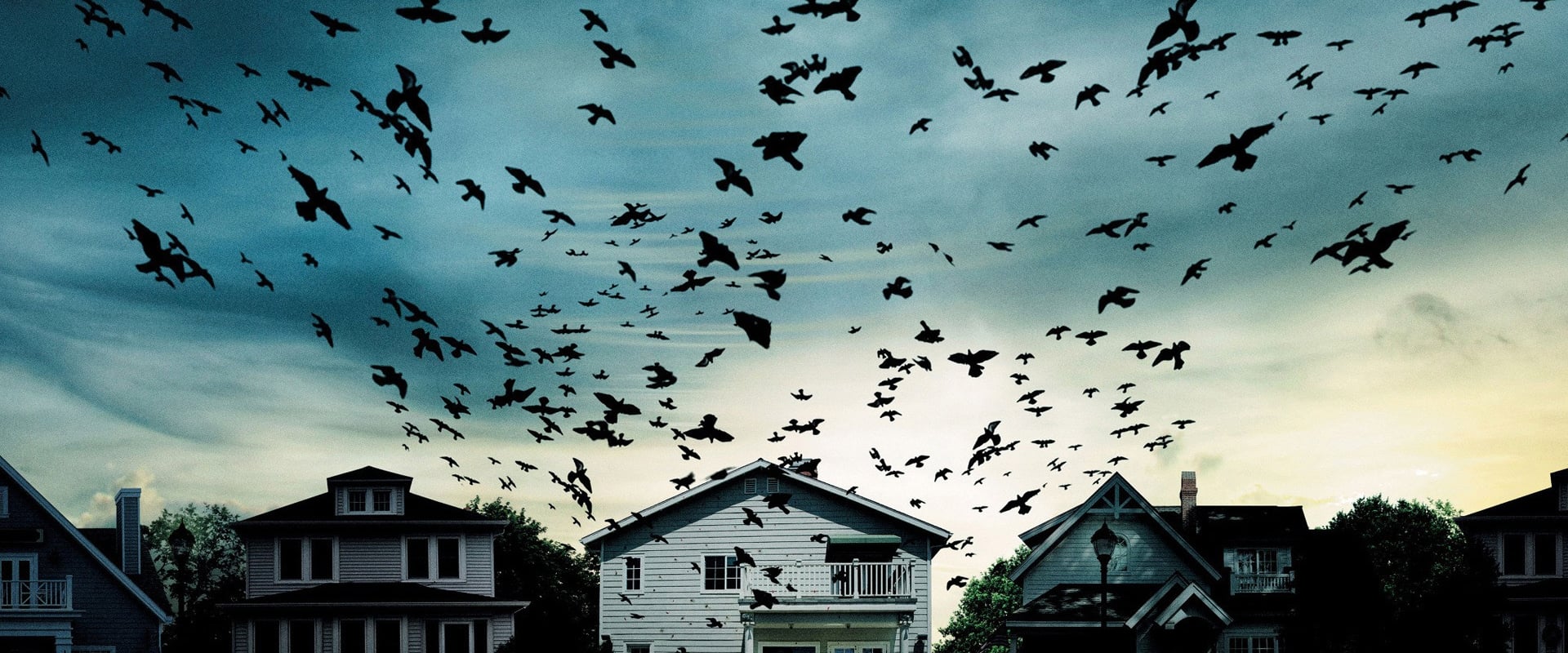 Dark Skies 2013