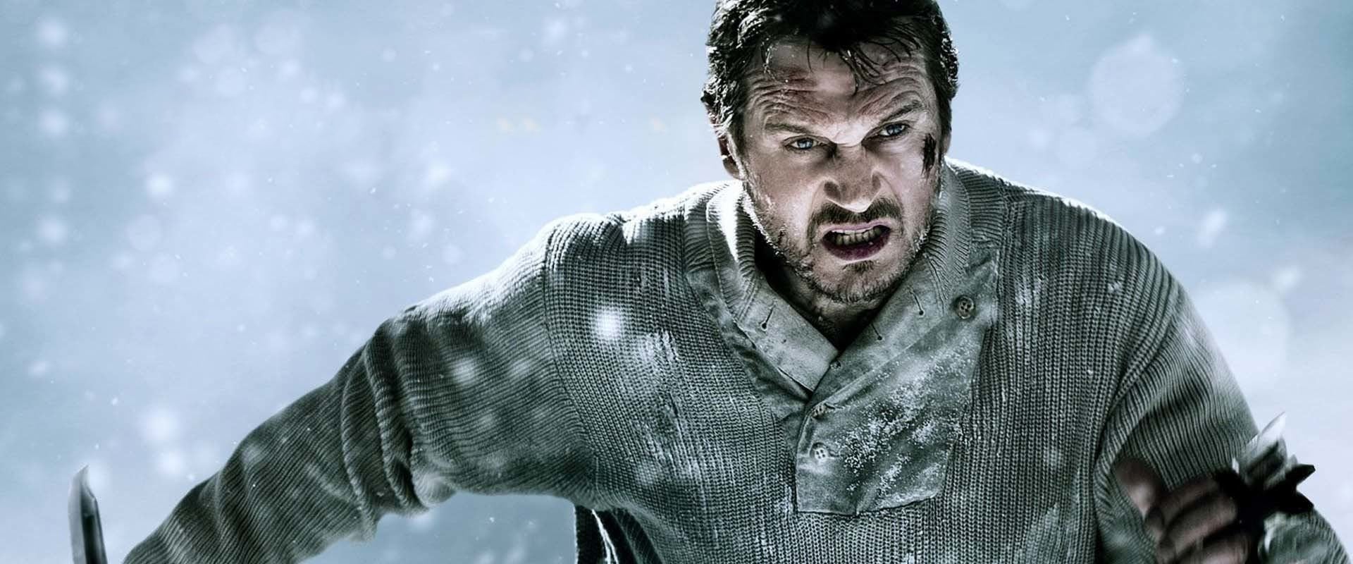 The Grey 2011
