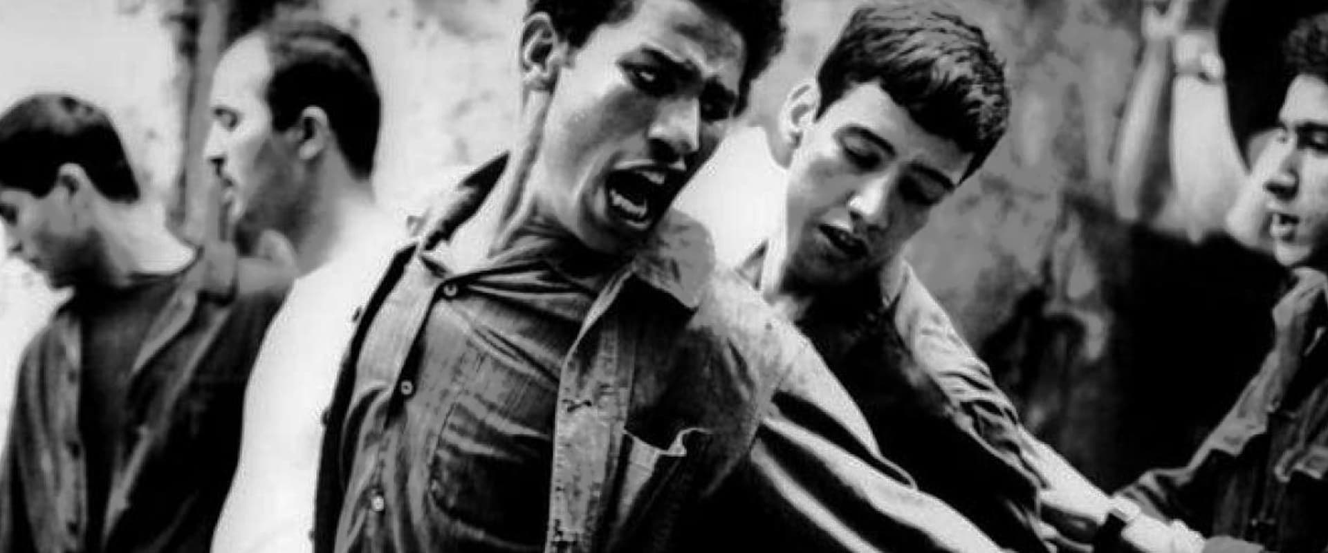 The Battle of Algiers 1966