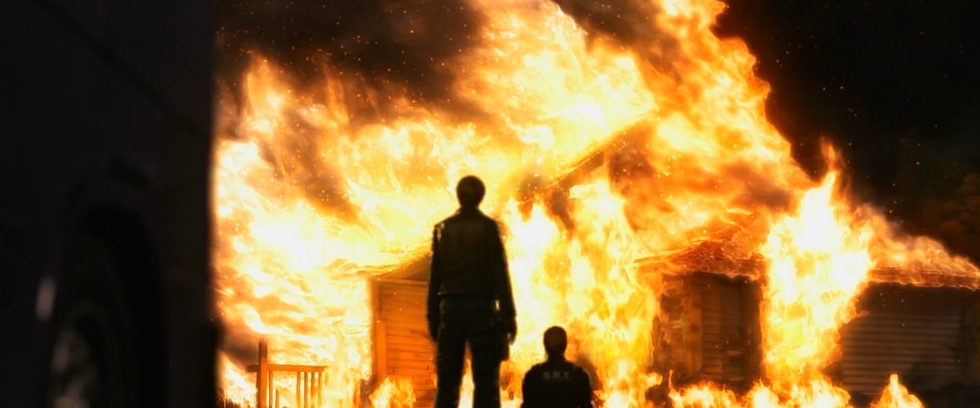 Resident Evil: Degeneration 2008