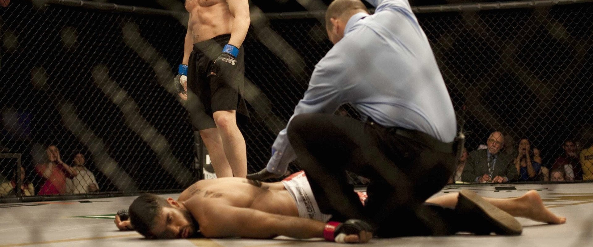 Warrior 2011