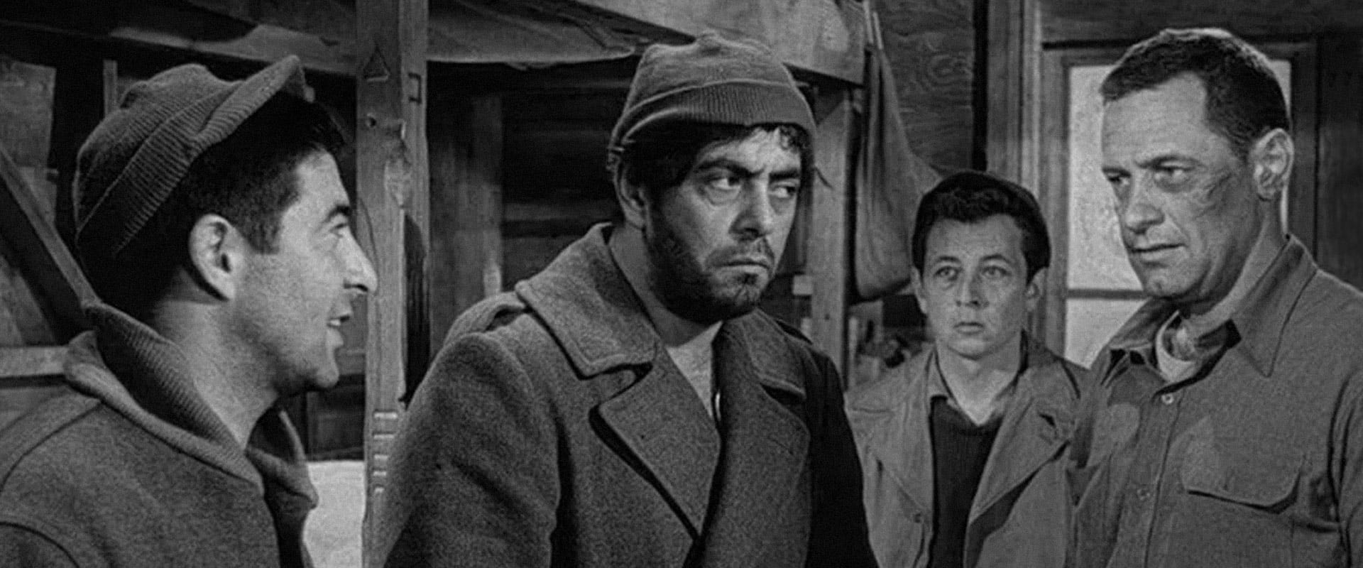 Stalag 17 1953