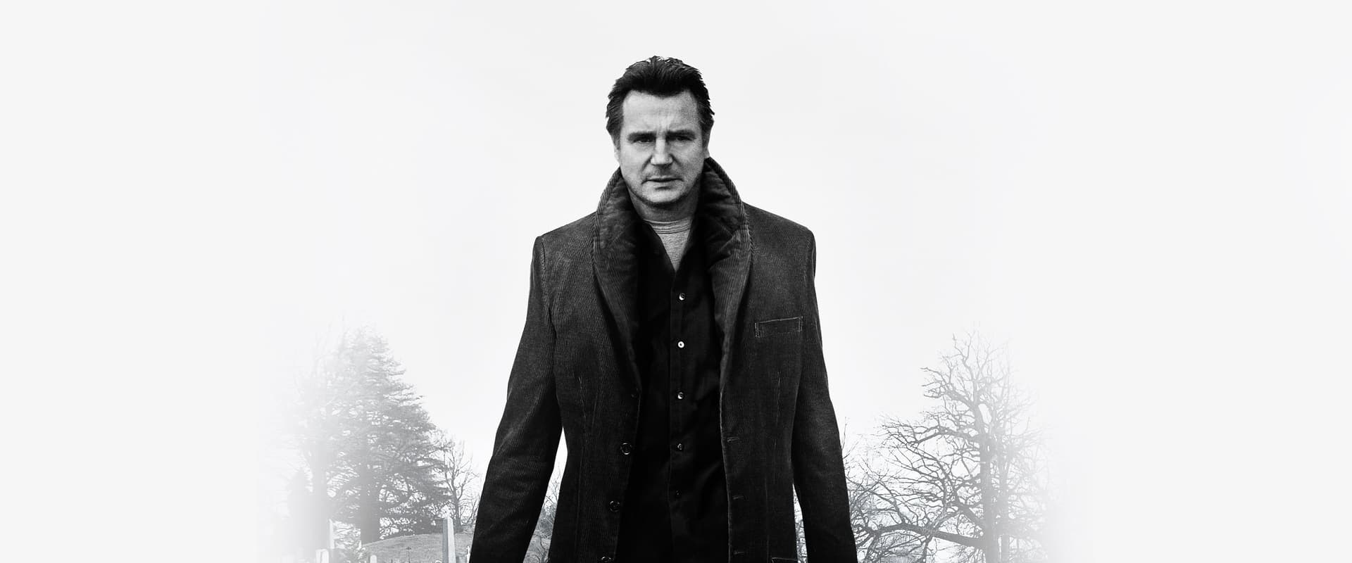 A Walk Among the Tombstones 2014
