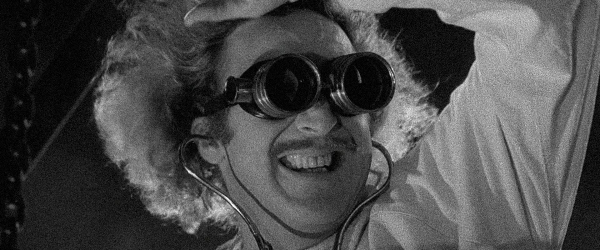 Young Frankenstein 1974