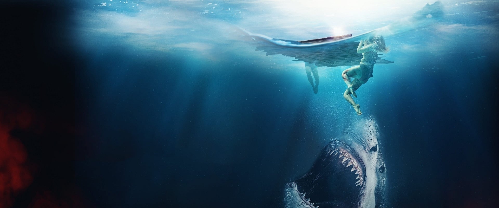 The Requin 2022