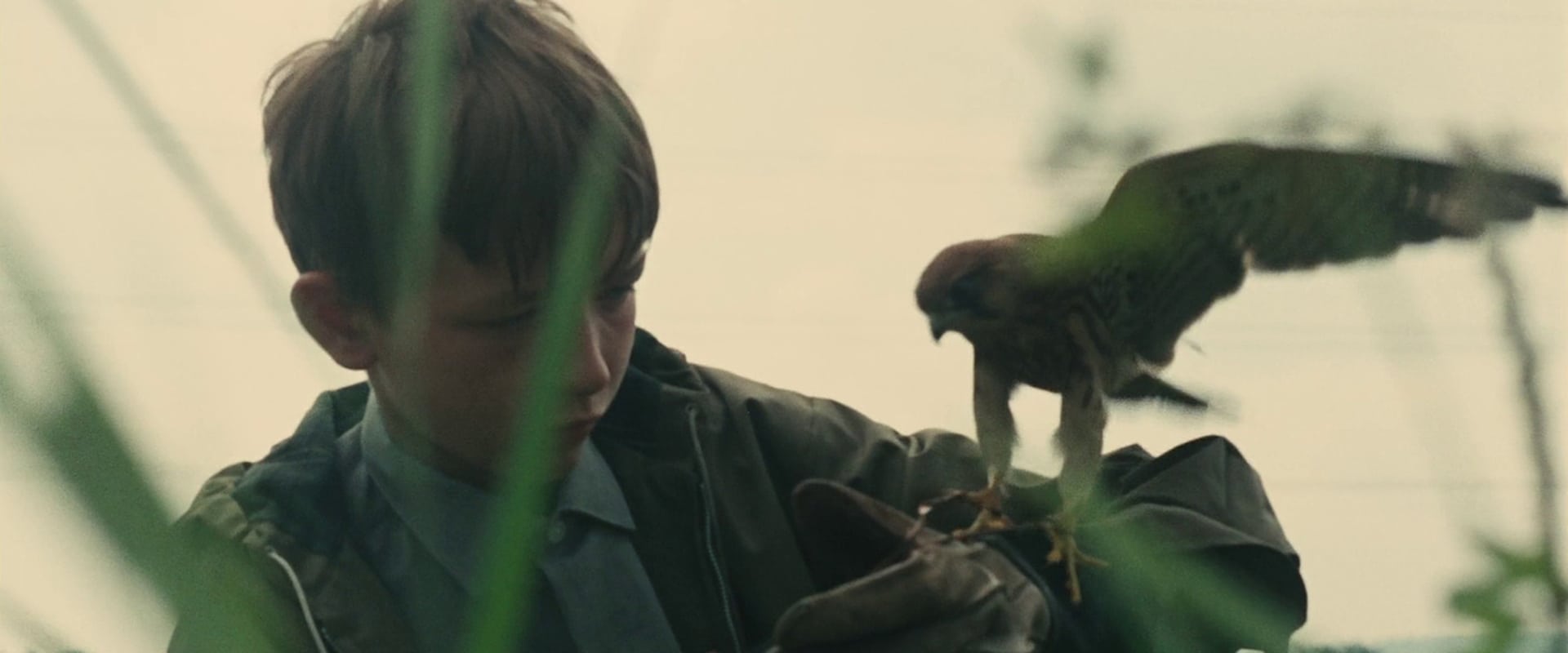 Kes 1969