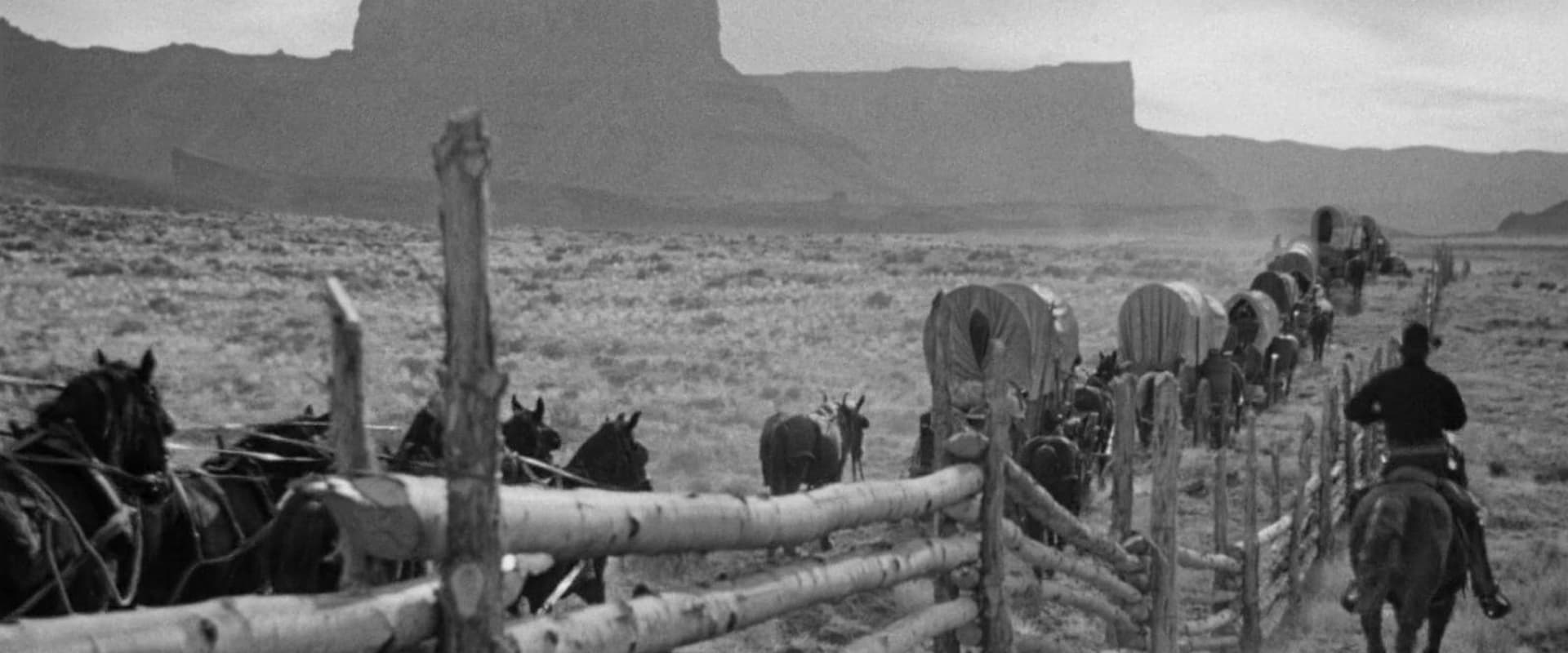 Wagon Master 1950