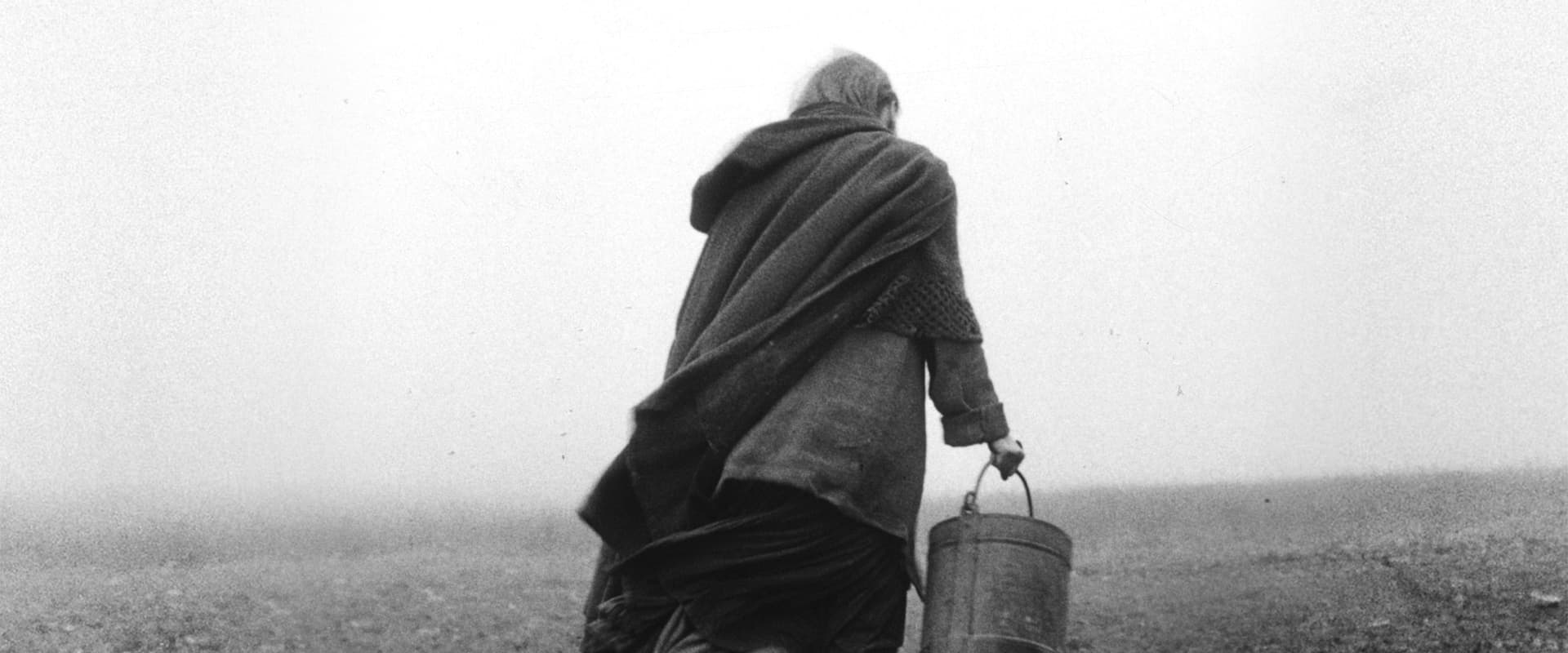 The Turin Horse 2011