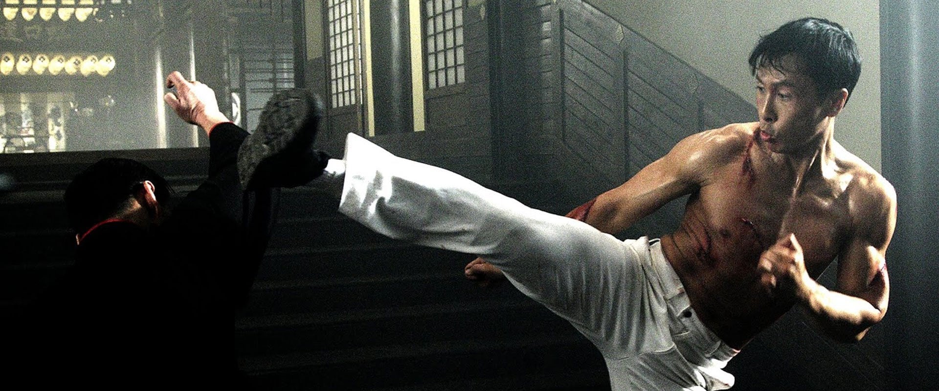 Legend of the Fist: The Return of Chen Zhen 2010