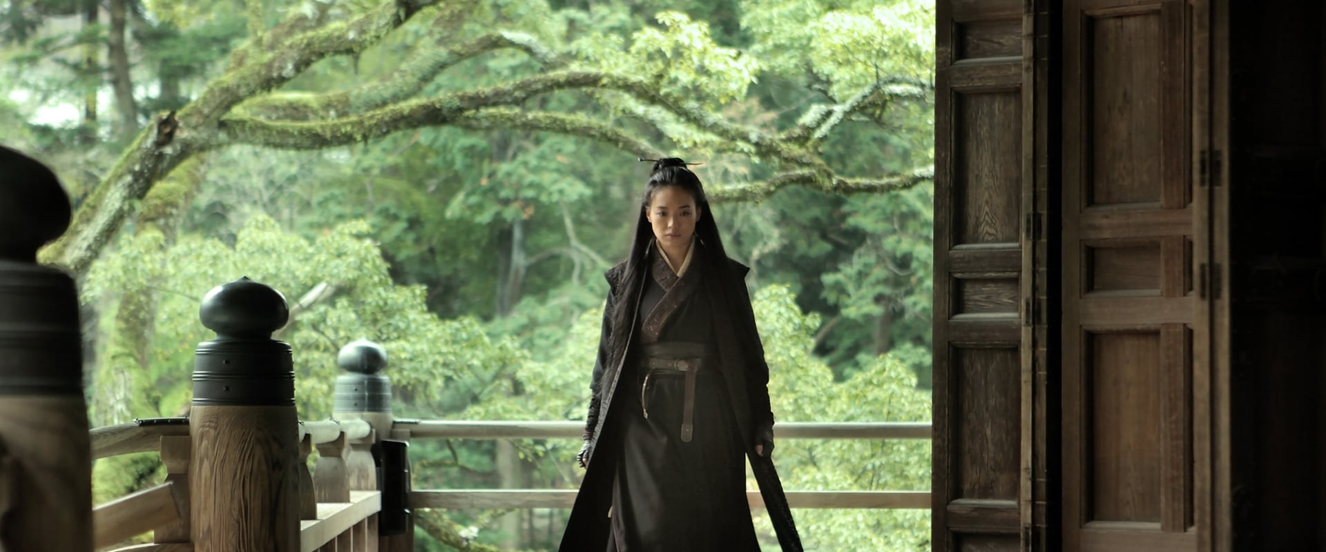 The Assassin 2015