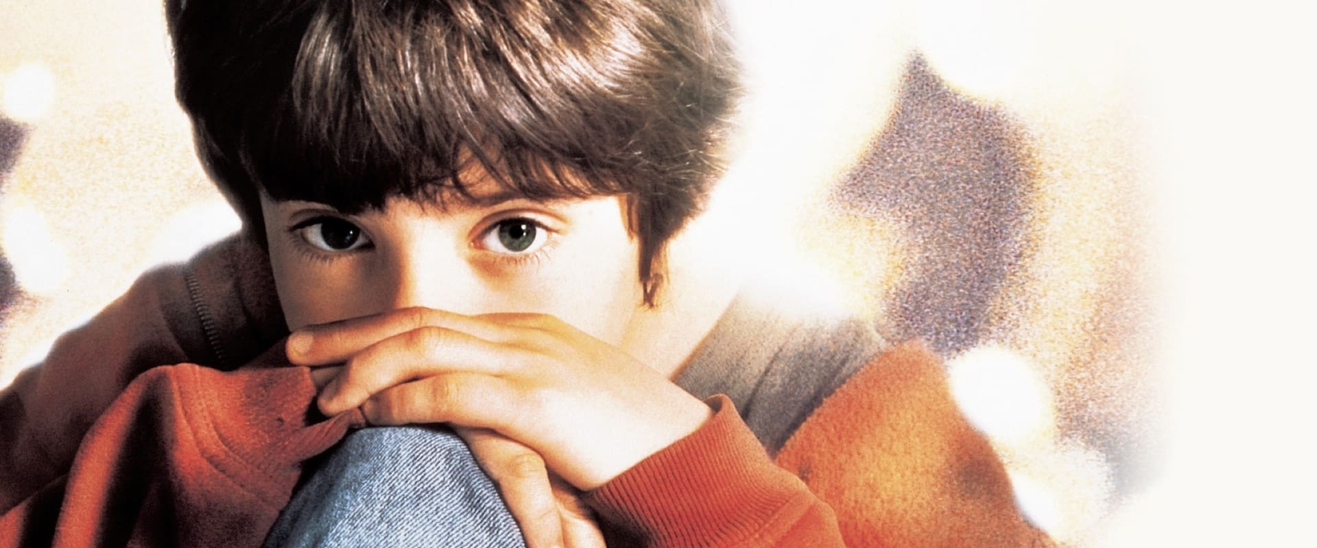 Searching for Bobby Fischer 1993