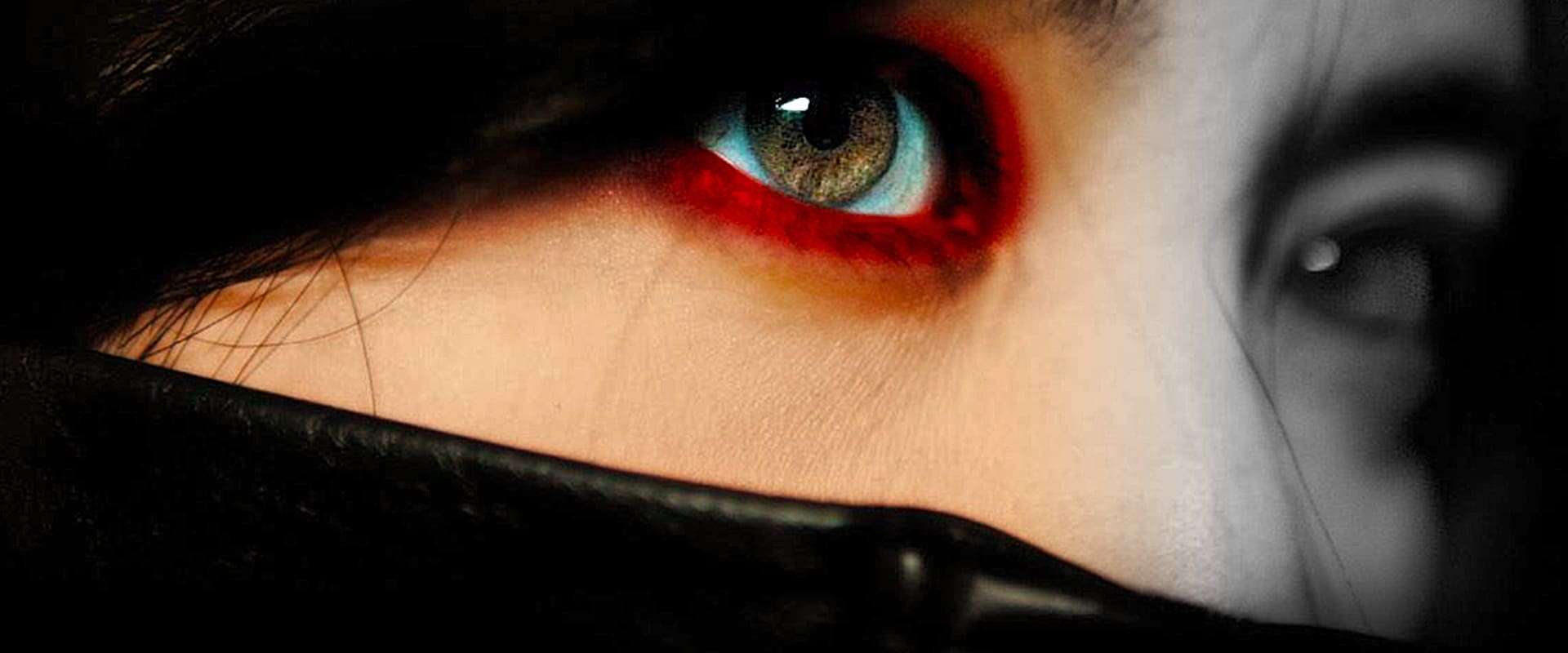 Lady Vengeance 2005