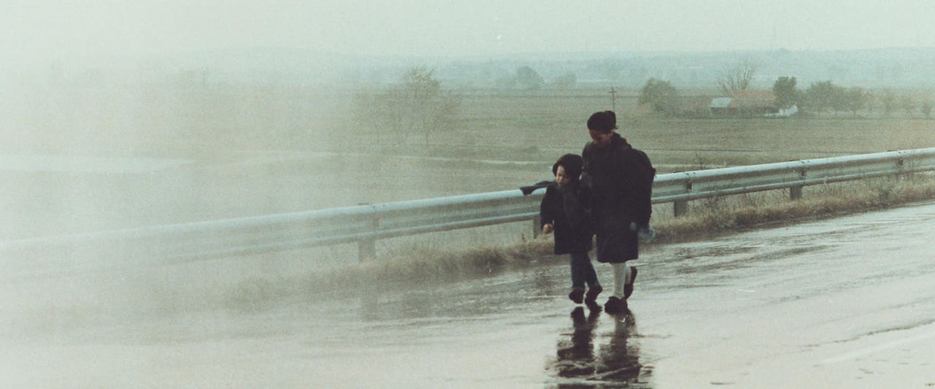 Landscape in the Mist 1988