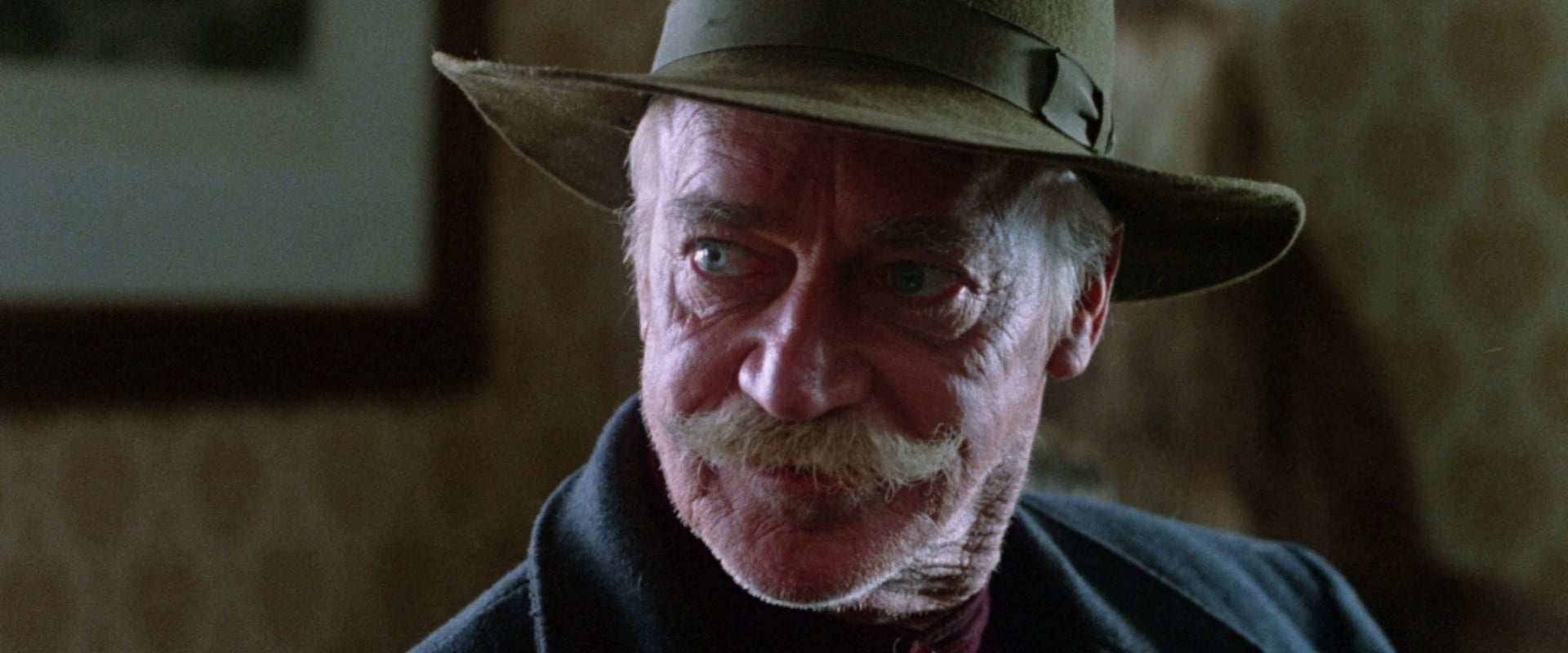 The Grey Fox 1982