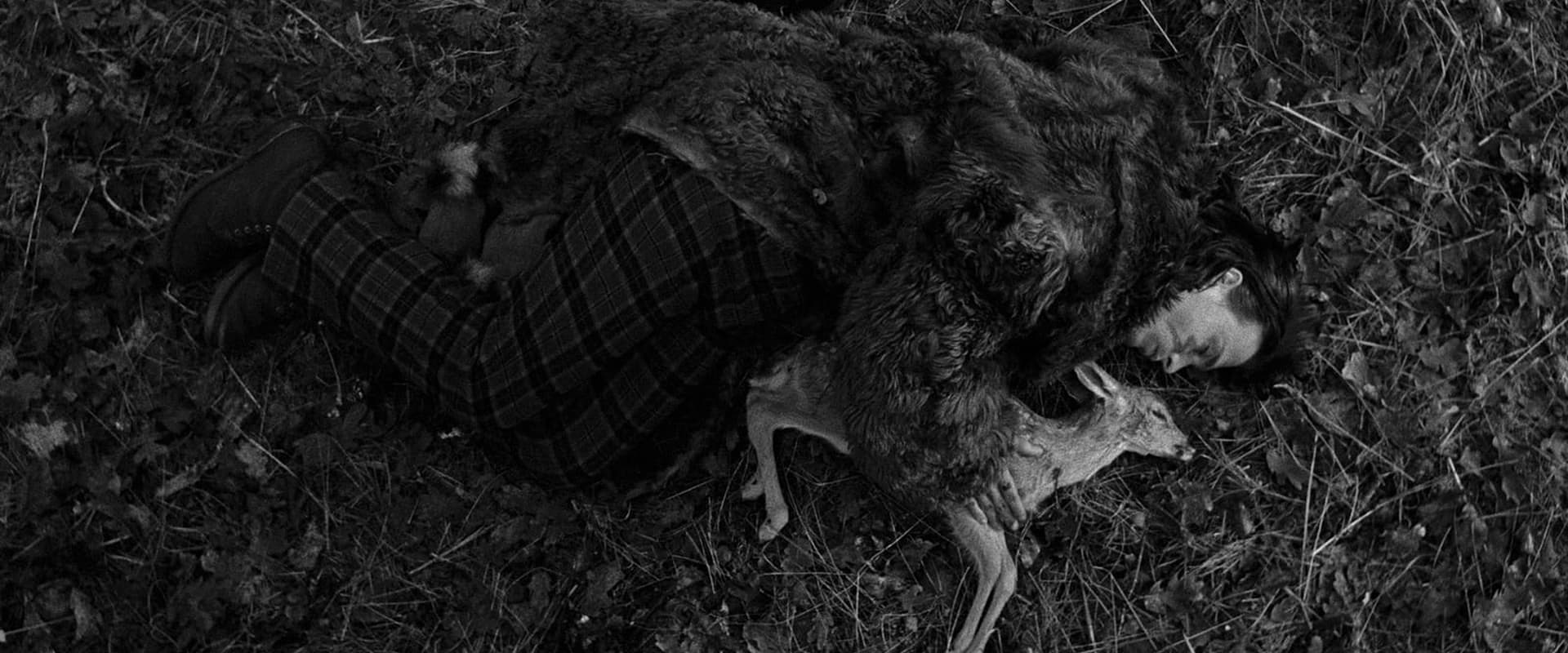 Dead Man 1995