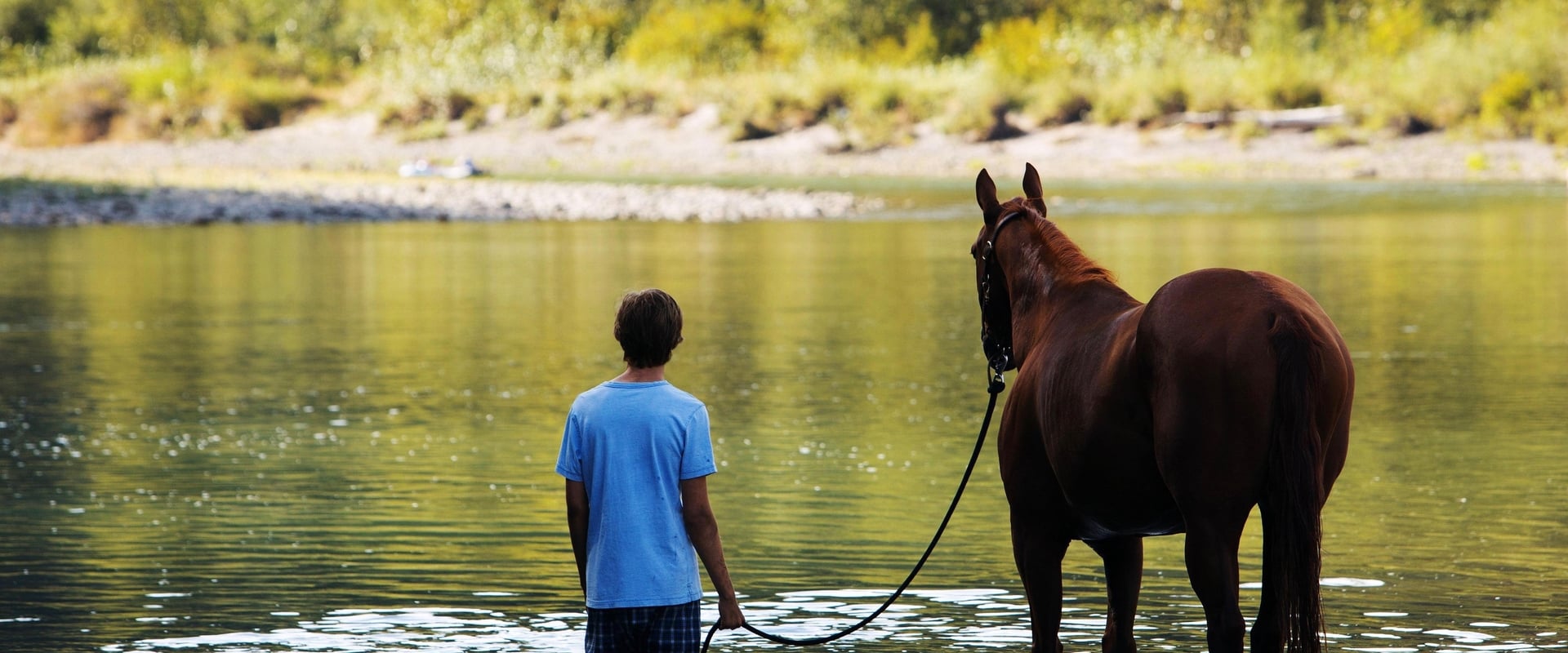 Lean on Pete 2017