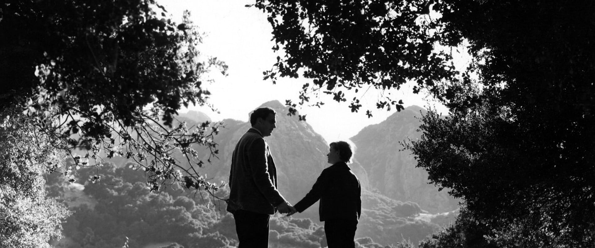 How Green Was My Valley 1941