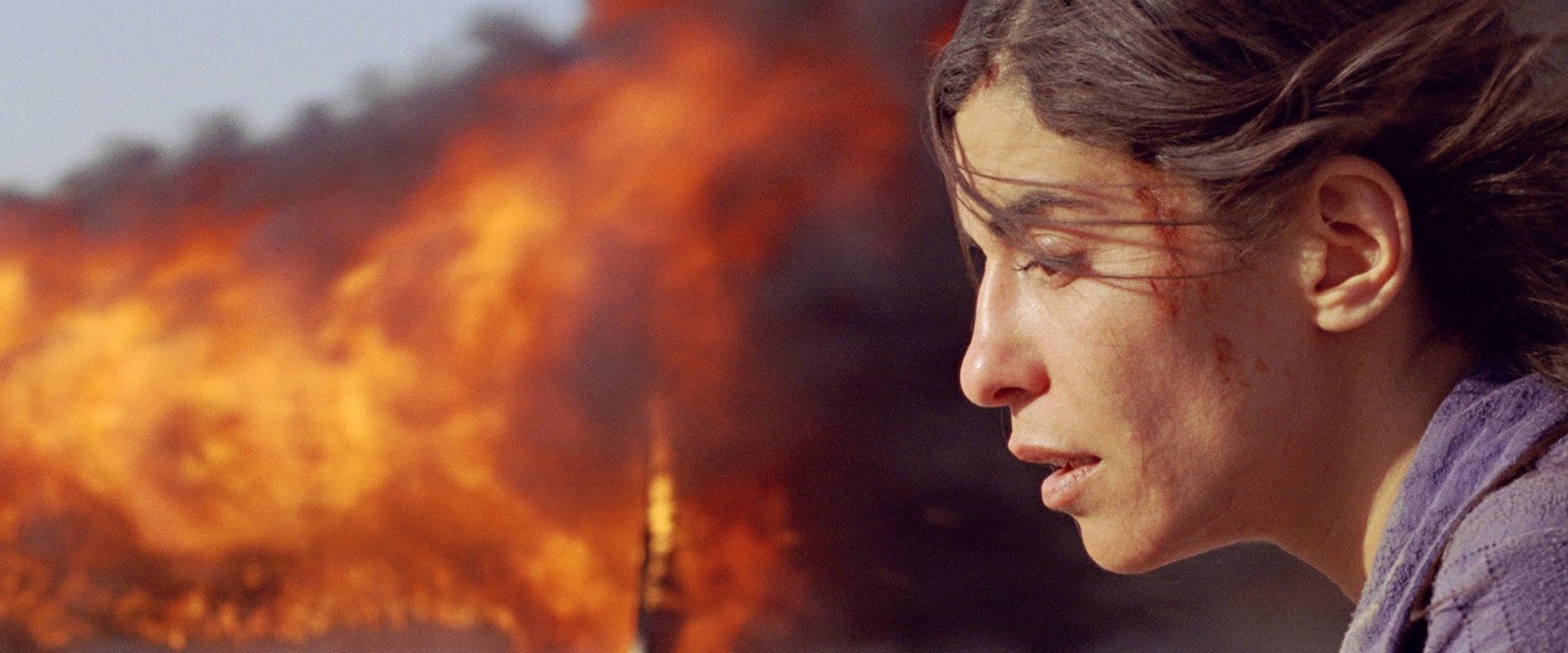 Incendies 2010