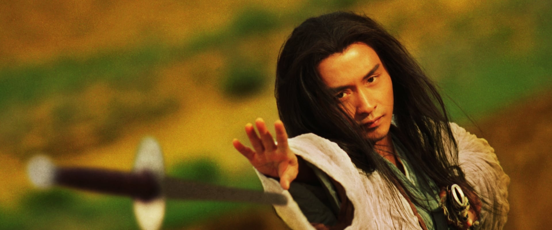 Ashes of Time 1994