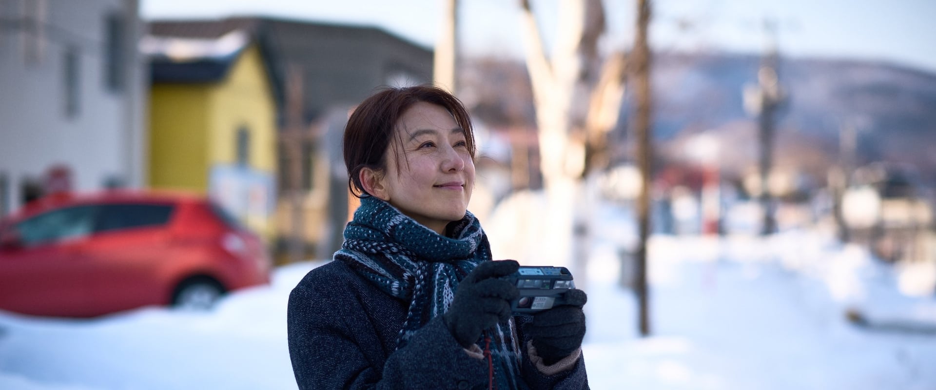 Moonlit Winter 2019