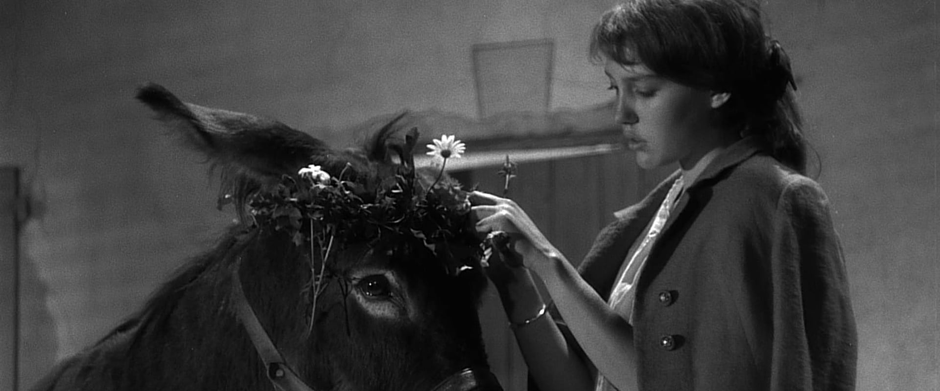 Au hasard Balthazar 1966
