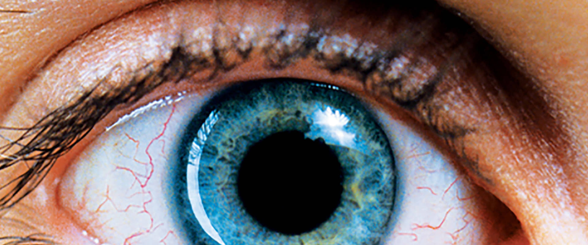 Requiem for a Dream 2000