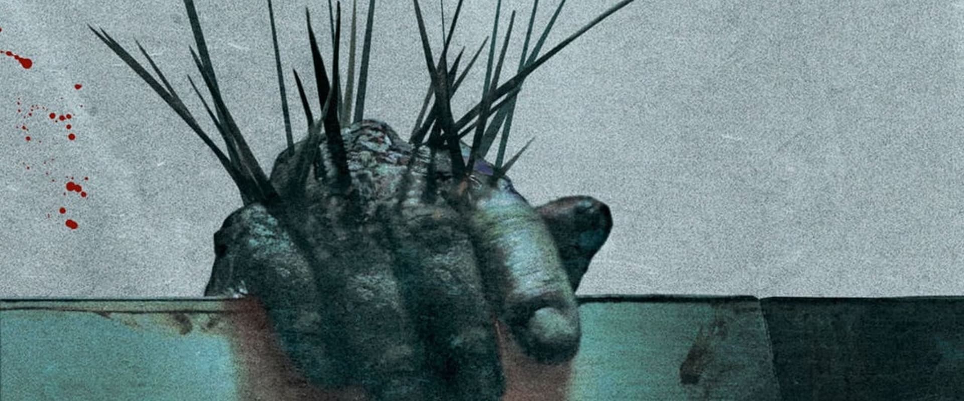 Splinter 2008