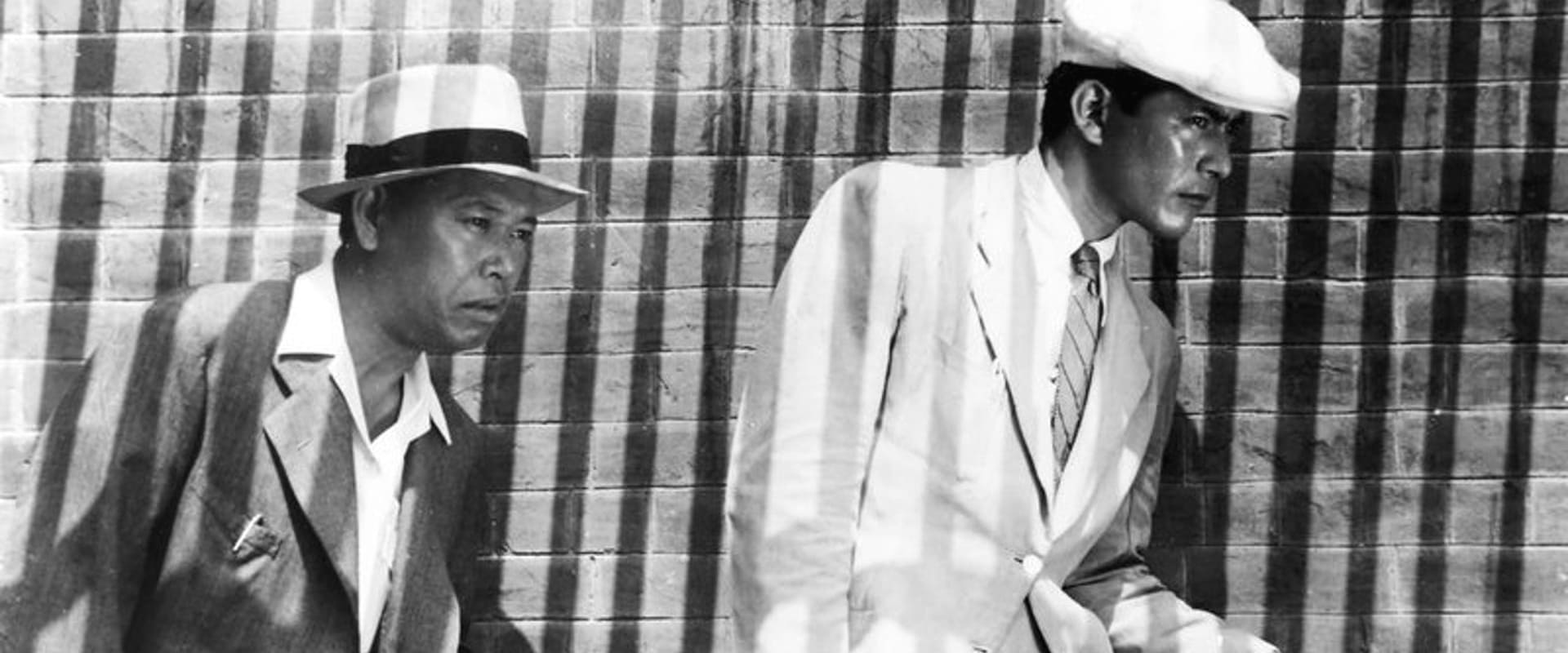 Stray Dog 1949