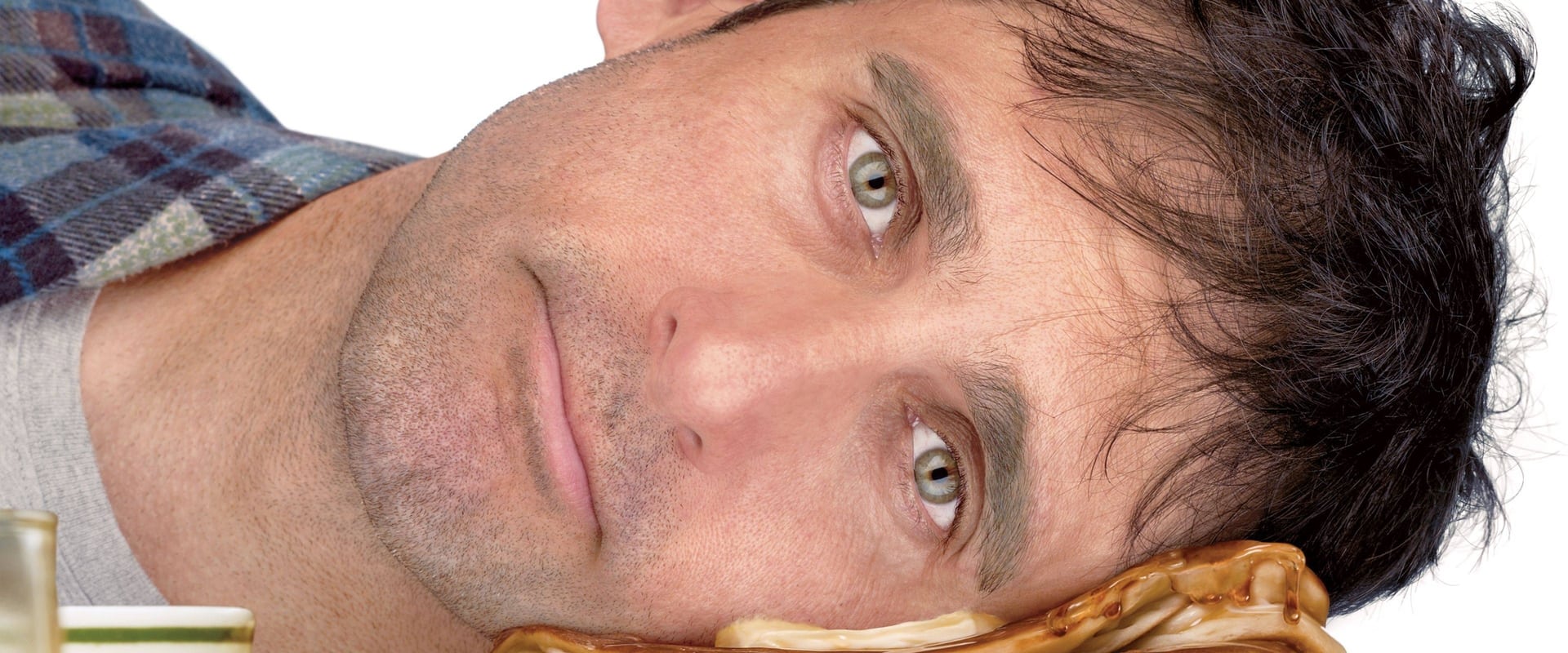 Dan in Real Life 2007