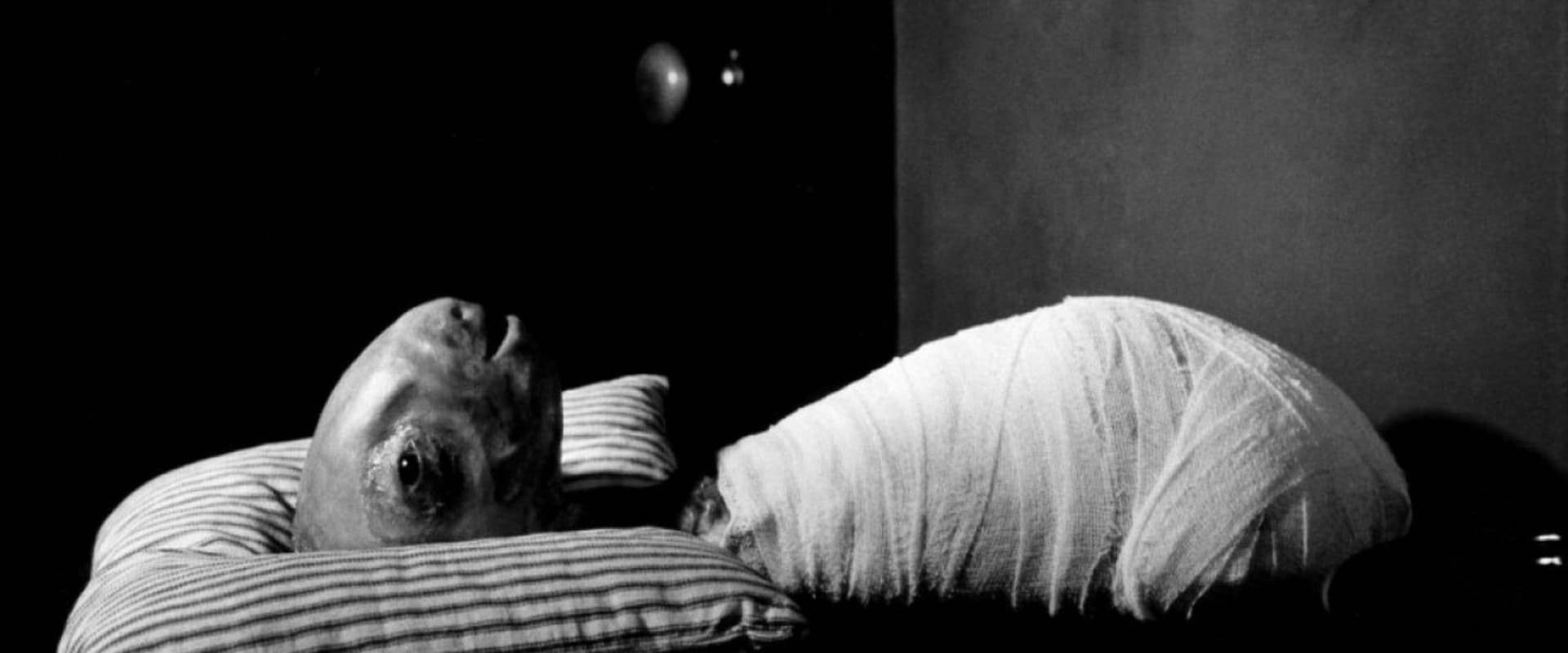 Eraserhead 1977