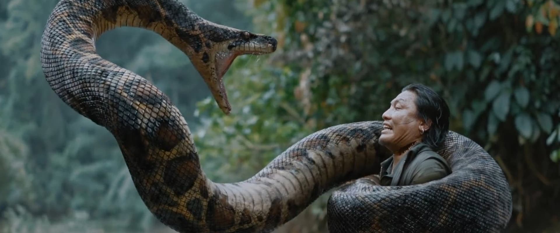 Anaconda 2024