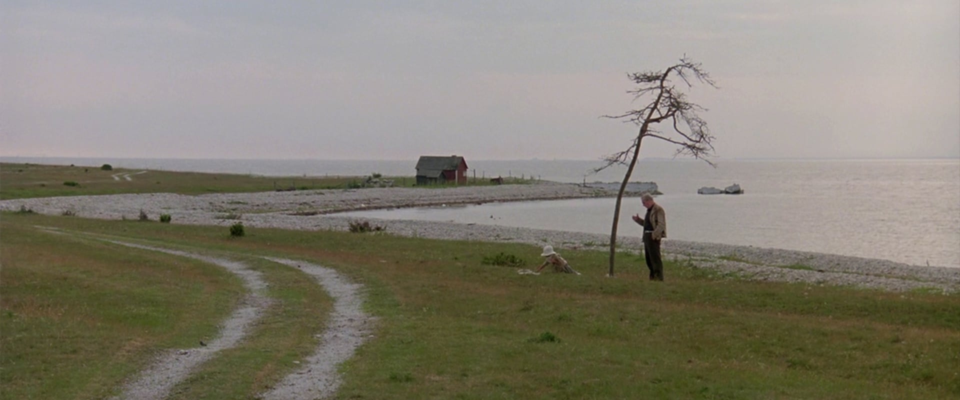 The Sacrifice 1986