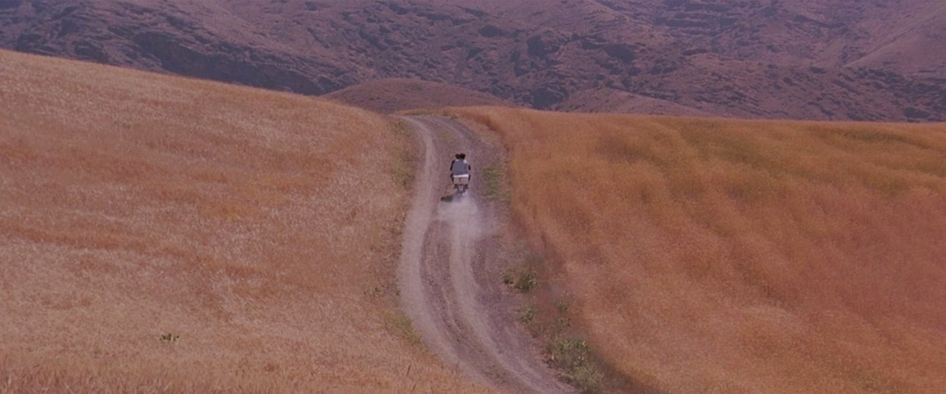 The Wind Will Carry Us 1999